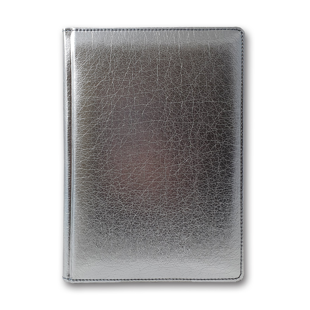 Diary 3B-63 n/date "FLASH" silver 168 sheets. # 142х203 (10)