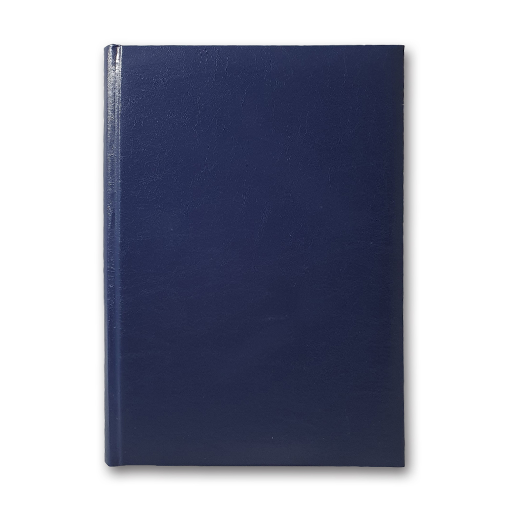 Diary 3B-63 n/date "Infolk-Miradur" blue 168 sheets. # 142х203 (10)